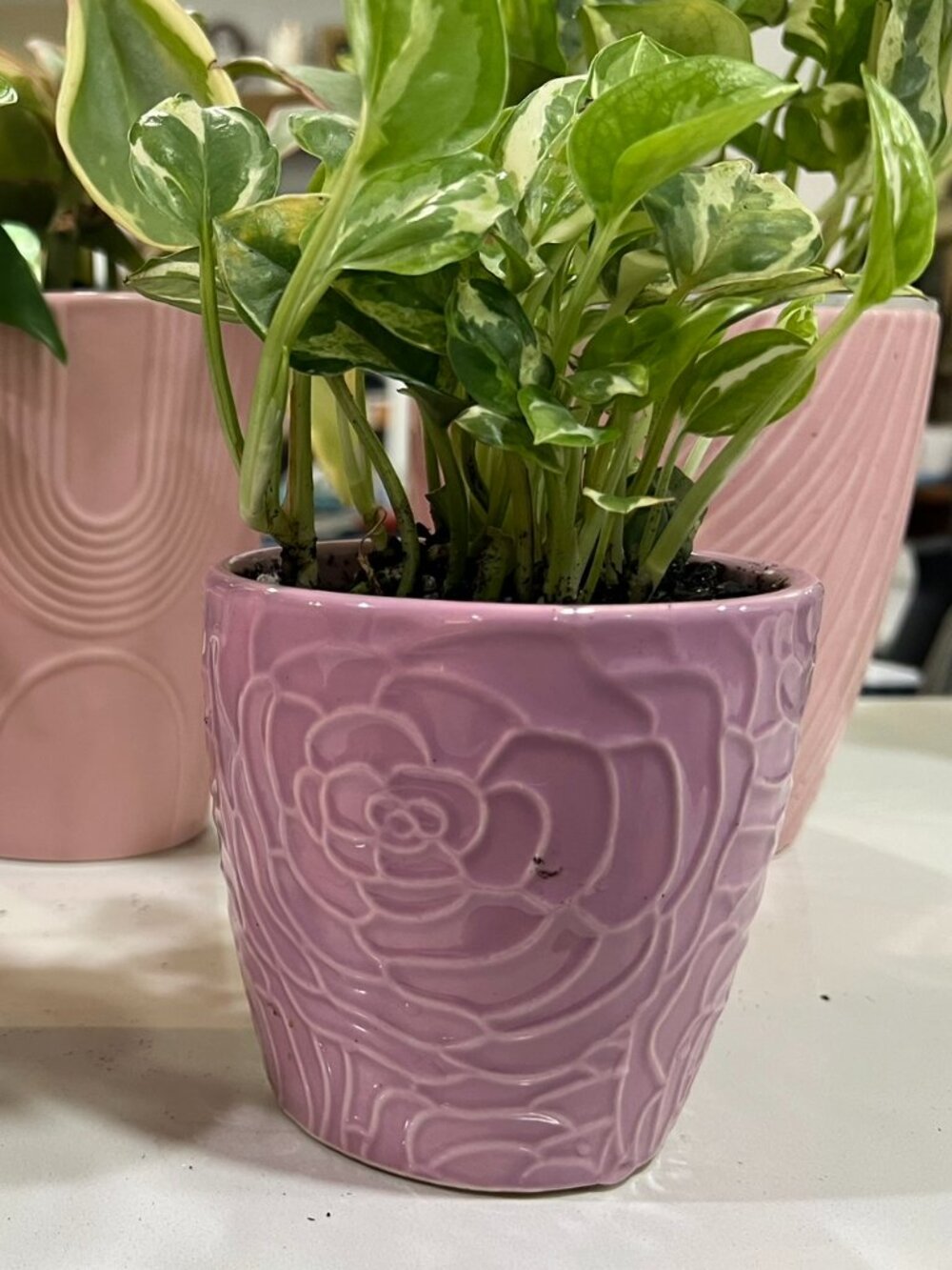 Small Pink Flower Pot